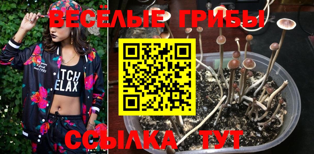 Псилоцибиновые грибы Magic Shrooms Кореновск