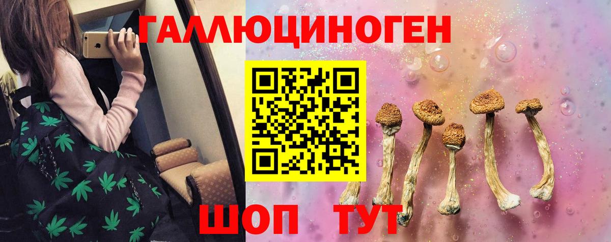 Псилоцибиновые грибы Psilocybe  Кореновск 
