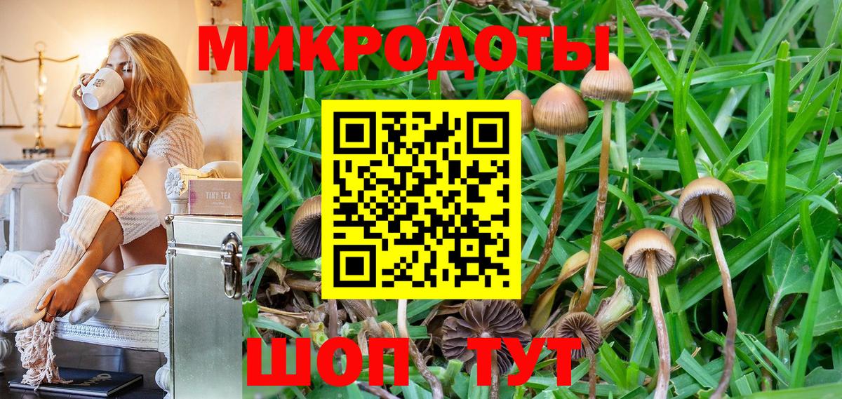 Кореновск  Галлюциногенные грибы Magic Shrooms  закладка  Вход с VPN 