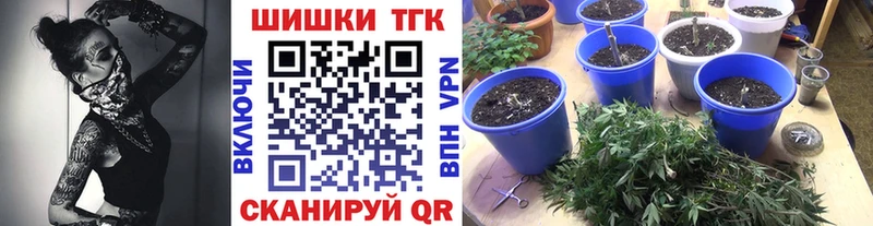 где купить наркоту  Кореновск  Канабис VHQ 